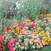 ヒメ日記 2025/10/24 18:32 投稿 あさこ 横浜おかあさん