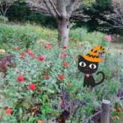 ヒメ日記 2025/10/29 19:25 投稿 あさこ 横浜おかあさん