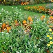 ヒメ日記 2025/11/01 11:25 投稿 あさこ 横浜おかあさん