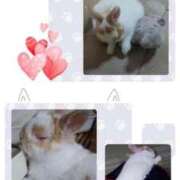 ヒメ日記 2025/11/02 12:15 投稿 あさこ 横浜おかあさん