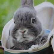 ヒメ日記 2025/11/09 09:32 投稿 あさこ 横浜おかあさん