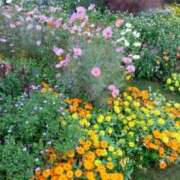 ヒメ日記 2025/11/09 18:05 投稿 あさこ 横浜おかあさん