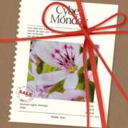 ヒメ日記 2025/11/15 08:55 投稿 あさこ 横浜おかあさん