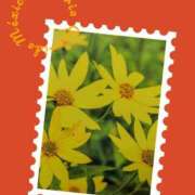 ヒメ日記 2025/11/15 19:55 投稿 あさこ 横浜おかあさん