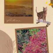 ヒメ日記 2025/11/16 18:41 投稿 あさこ 横浜おかあさん