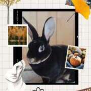 ヒメ日記 2025/11/19 19:35 投稿 あさこ 横浜おかあさん