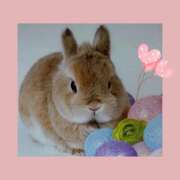 ヒメ日記 2025/11/21 09:19 投稿 あさこ 横浜おかあさん