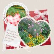 ヒメ日記 2025/11/22 09:45 投稿 あさこ 横浜おかあさん