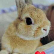 ヒメ日記 2025/11/23 12:05 投稿 あさこ 横浜おかあさん