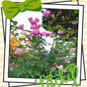 ヒメ日記 2025/11/26 19:05 投稿 あさこ 横浜おかあさん