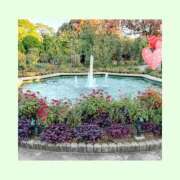 ヒメ日記 2025/12/02 18:25 投稿 あさこ 横浜おかあさん