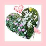 ヒメ日記 2025/12/04 18:55 投稿 あさこ 横浜おかあさん