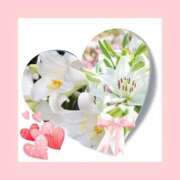 ヒメ日記 2025/12/14 09:35 投稿 あさこ 横浜おかあさん