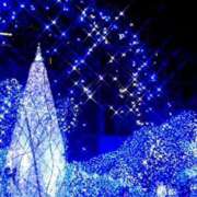 ヒメ日記 2025/12/18 18:26 投稿 あさこ 横浜おかあさん