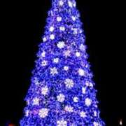 ヒメ日記 2025/12/24 18:55 投稿 あさこ 横浜おかあさん