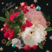 ヒメ日記 2025/12/25 20:35 投稿 あさこ 横浜おかあさん