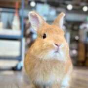 ヒメ日記 2025/12/26 18:55 投稿 あさこ 横浜おかあさん