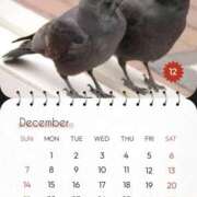 ヒメ日記 2025/12/28 12:55 投稿 あさこ 横浜おかあさん