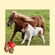 ヒメ日記 2026/01/04 18:35 投稿 あさこ 横浜おかあさん