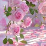 ヒメ日記 2026/01/07 17:55 投稿 あさこ 横浜おかあさん