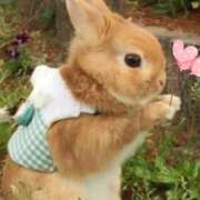 ヒメ日記 2026/01/16 17:55 投稿 あさこ 横浜おかあさん