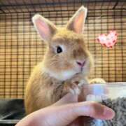 ヒメ日記 2026/01/18 18:05 投稿 あさこ 横浜おかあさん