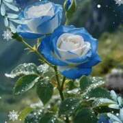 ヒメ日記 2026/01/24 16:31 投稿 あさこ 横浜おかあさん