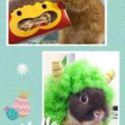 ヒメ日記 2026/02/03 12:58 投稿 あさこ 横浜おかあさん