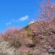 ヒメ日記 2026/02/05 11:45 投稿 あさこ 横浜おかあさん