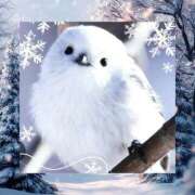 ヒメ日記 2026/02/07 11:25 投稿 あさこ 横浜おかあさん