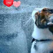 ヒメ日記 2026/02/11 12:25 投稿 あさこ 横浜おかあさん