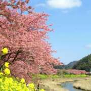 ヒメ日記 2026/02/20 11:55 投稿 あさこ 横浜おかあさん