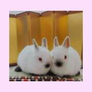 ヒメ日記 2026/03/03 10:45 投稿 あさこ 横浜おかあさん