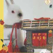 ヒメ日記 2026/03/03 17:25 投稿 あさこ 横浜おかあさん