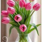 ヒメ日記 2026/03/17 17:55 投稿 あさこ 横浜おかあさん