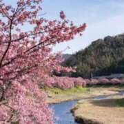 ヒメ日記 2026/03/18 17:45 投稿 あさこ 横浜おかあさん