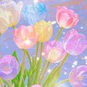 ヒメ日記 2026/03/21 17:25 投稿 あさこ 横浜おかあさん