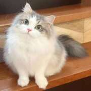 ヒメ日記 2026/03/25 17:05 投稿 あさこ 横浜おかあさん