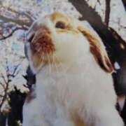 あさこ 3月のお礼です💐 横浜おかあさん