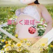 ヒメ日記 2026/04/18 18:44 投稿 まな 夜這い茶屋 はなれ