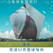ヒメ日記 2026/05/07 18:37 投稿 まな 夜這い茶屋 はなれ