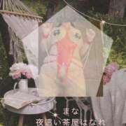 ヒメ日記 2026/05/17 20:42 投稿 まな 夜這い茶屋 はなれ