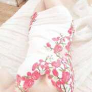 ヒメ日記 2024/12/21 17:06 投稿 みゆ Picasso(ピカソ)