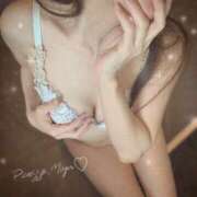 ヒメ日記 2024/12/27 10:16 投稿 みゆ Picasso(ピカソ)