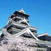 ヒメ日記 2025/03/08 12:36 投稿 みゆ Picasso(ピカソ)