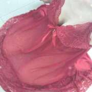 ヒメ日記 2025/03/14 22:17 投稿 みゆ Picasso(ピカソ)