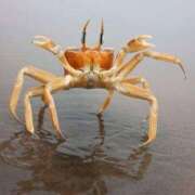 ヒメ日記 2025/06/29 14:56 投稿 みゆ Picasso(ピカソ)