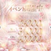 ヒメ日記 2026/02/15 13:23 投稿 みゆ 熊本ピカソ