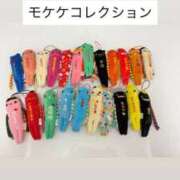 ヒメ日記 2026/04/10 15:14 投稿 みゆ 熊本ピカソ