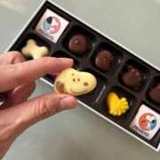 ヒメ日記 2026/04/11 20:03 投稿 みゆ 熊本ピカソ